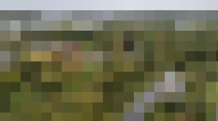 Veenweg 67 Groningen thumbnail 66