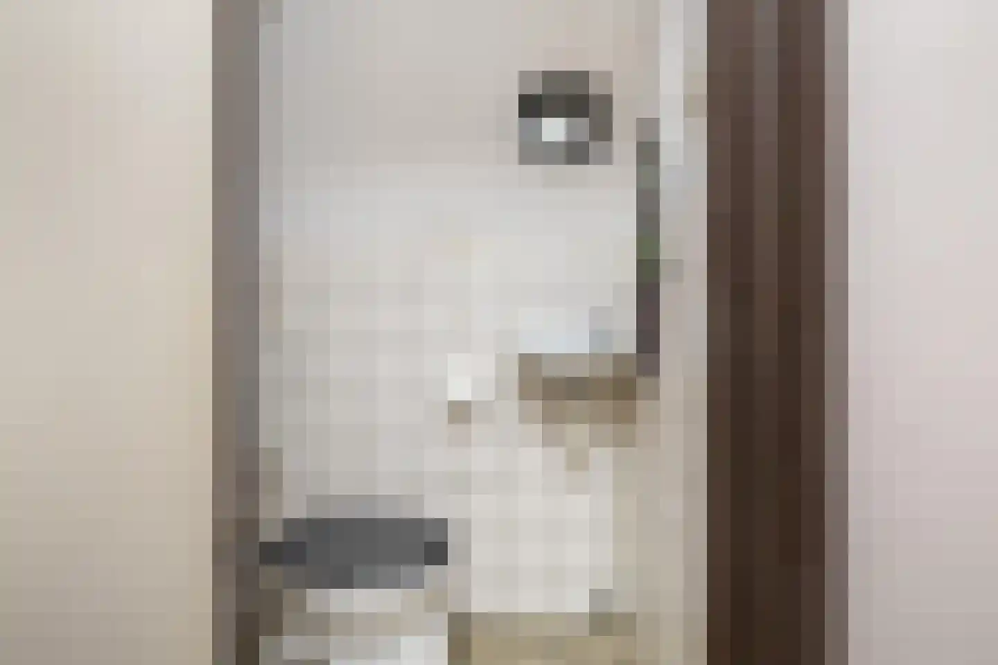 Veenweg 68 Beerta thumbnail 6