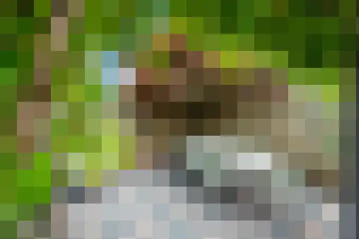 Veenweg 7 Apeldoorn thumbnail 20
