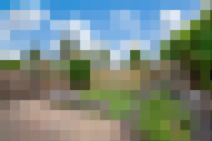 Veenweg 7 Apeldoorn thumbnail 22