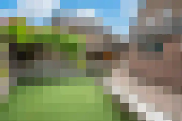Veenweg 7 Apeldoorn thumbnail 24