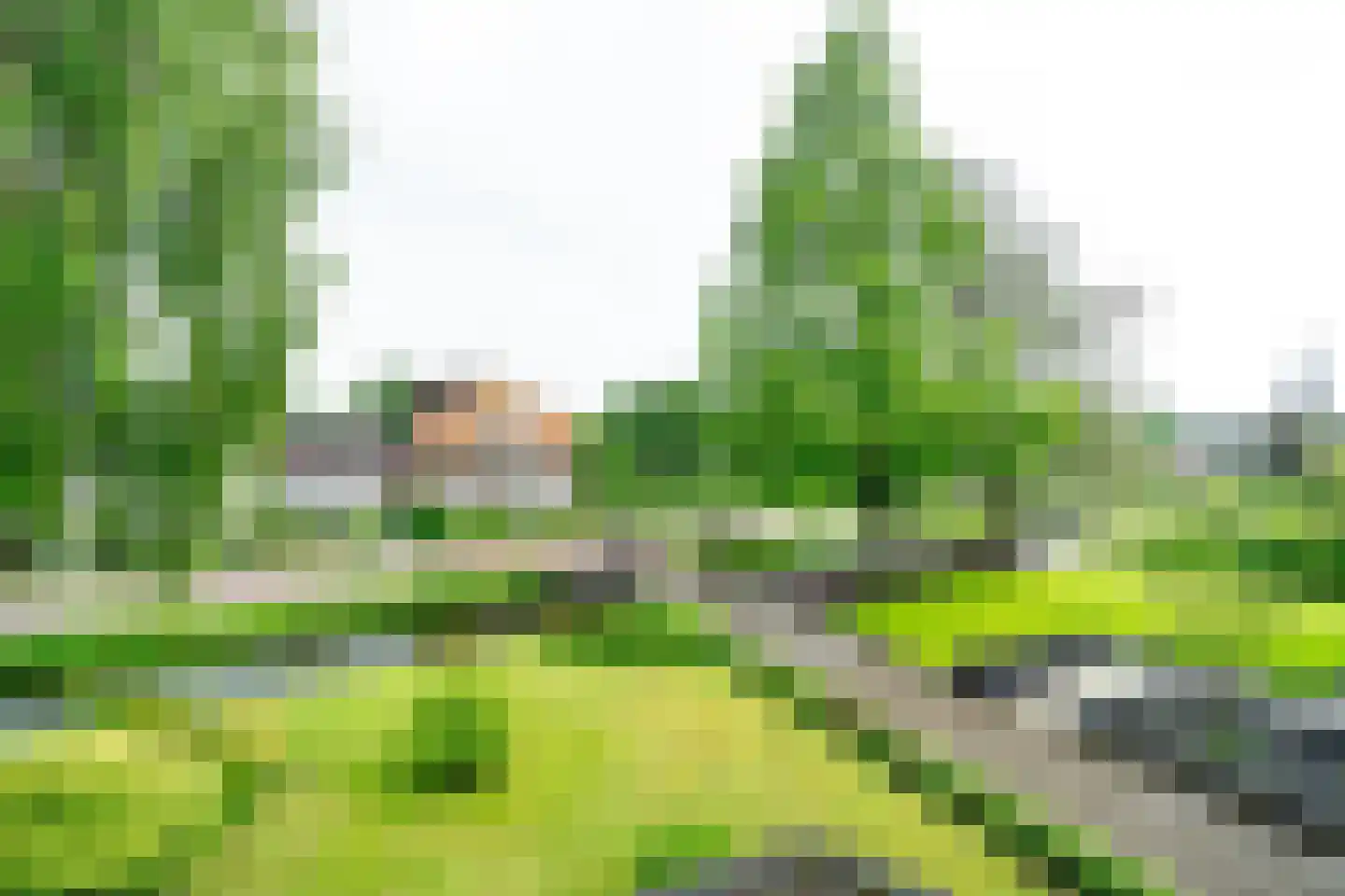 Veenweg 75 Nootdorp thumbnail 23