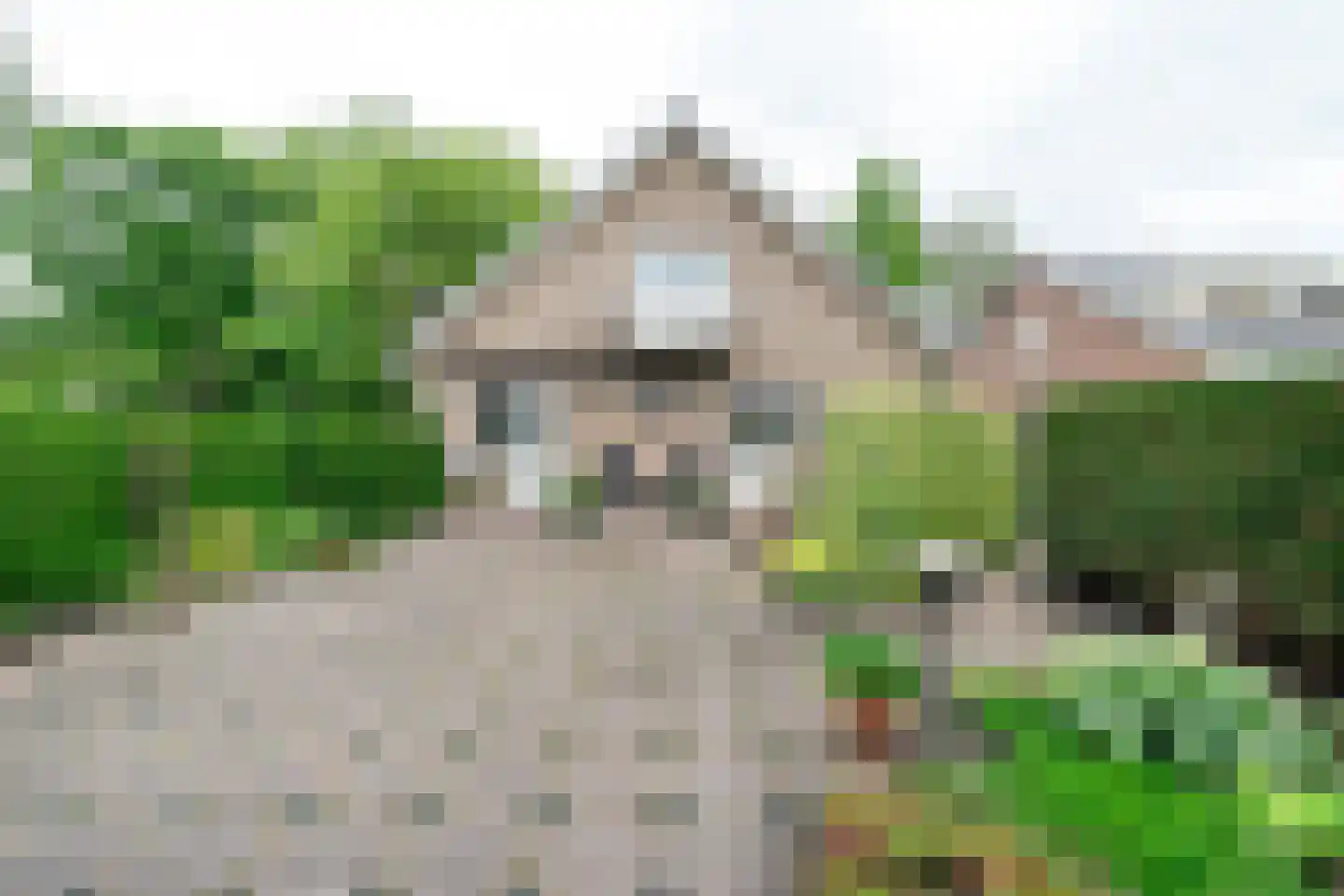 Veenweg 75 Nootdorp thumbnail 29