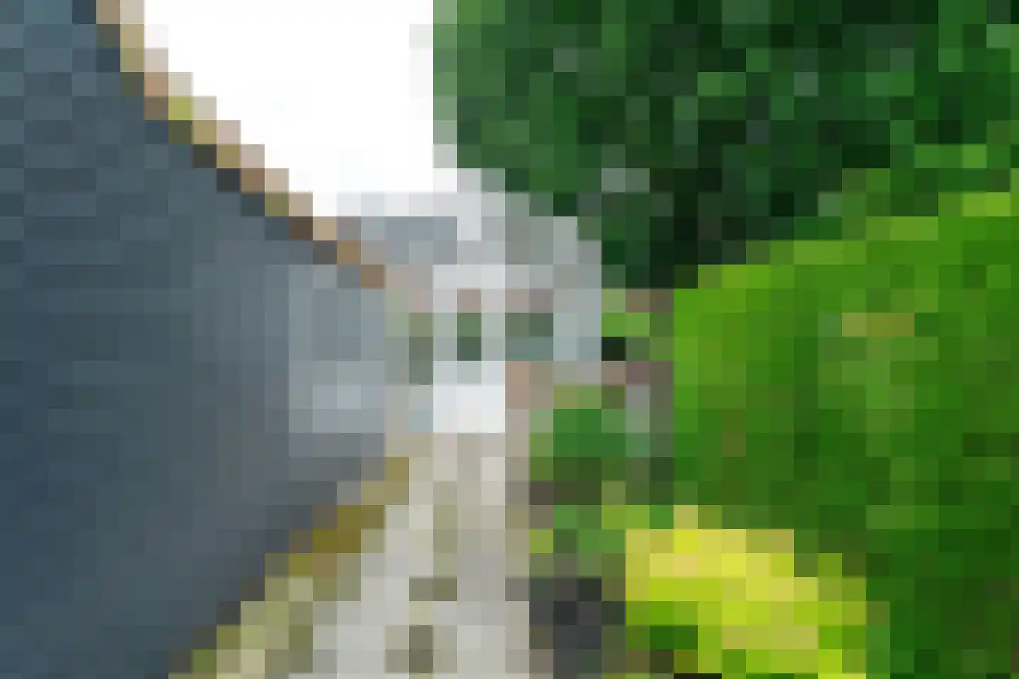 Veenweg 75 Nootdorp thumbnail 31