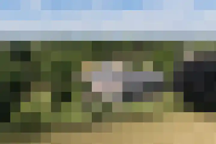 Veenweg 8 Drempt