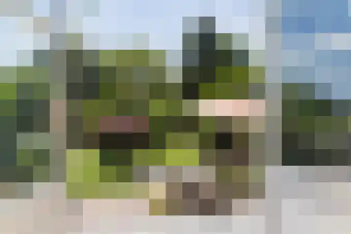 Veenweg 8 Drempt thumbnail 13