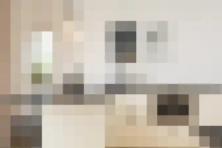 Veenweg 8 Drempt thumbnail 20