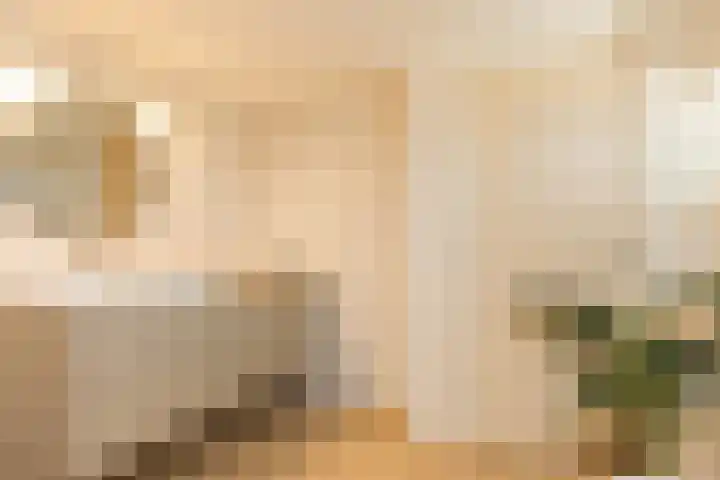 Veenweg 8 Drempt thumbnail 32