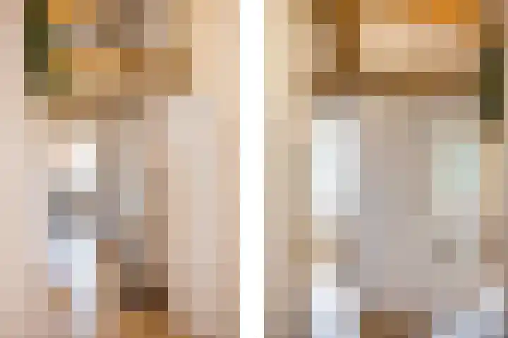 Veenweg 8 Drempt thumbnail 36