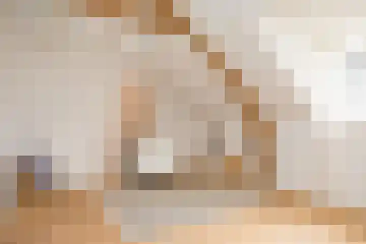 Veenweg 8 Drempt thumbnail 39