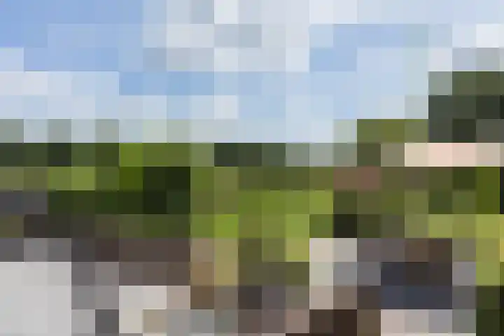 Veenweg 8 Drempt thumbnail 51