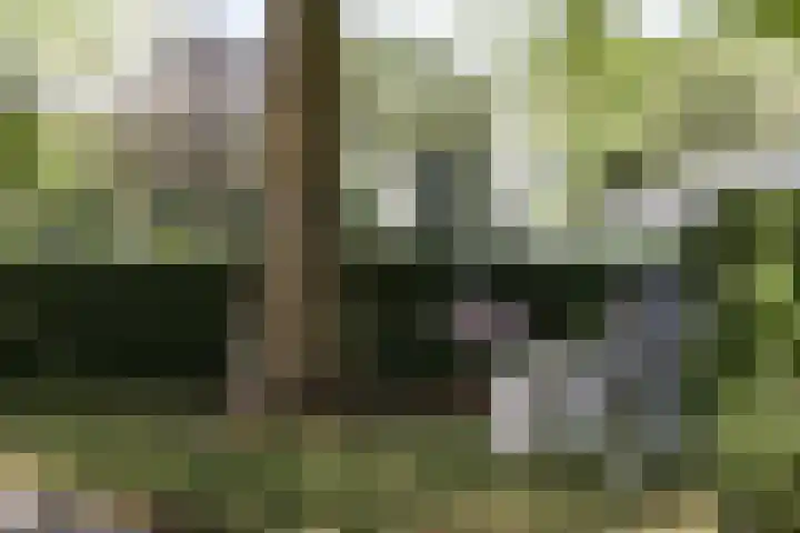 Veenweg 8 Drempt thumbnail 53