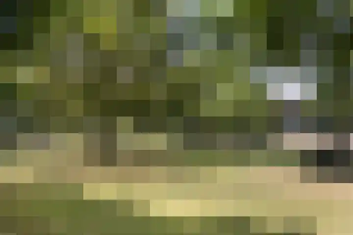 Veenweg 8 Drempt thumbnail 54