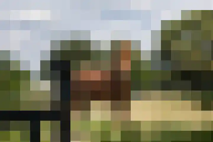 Veenweg 8 Drempt thumbnail 58