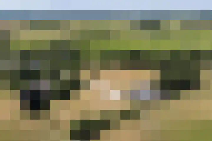 Veenweg 8 Drempt thumbnail 62