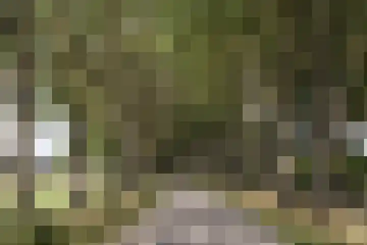 Veenweg 8 Drempt thumbnail 66