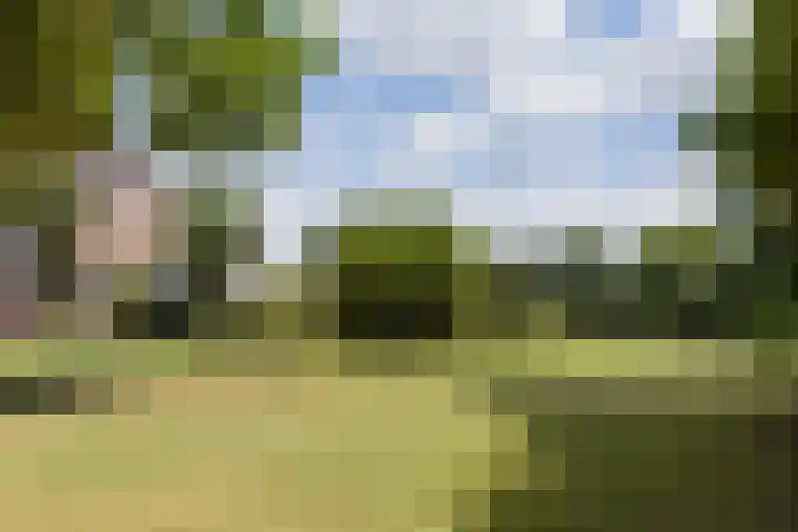 Veenweg 8 Drempt thumbnail 7