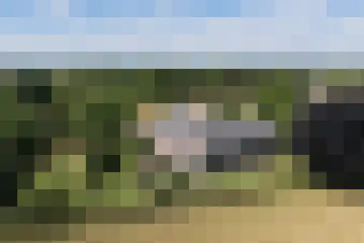 Veenweg 8 Drempt thumbnail 75