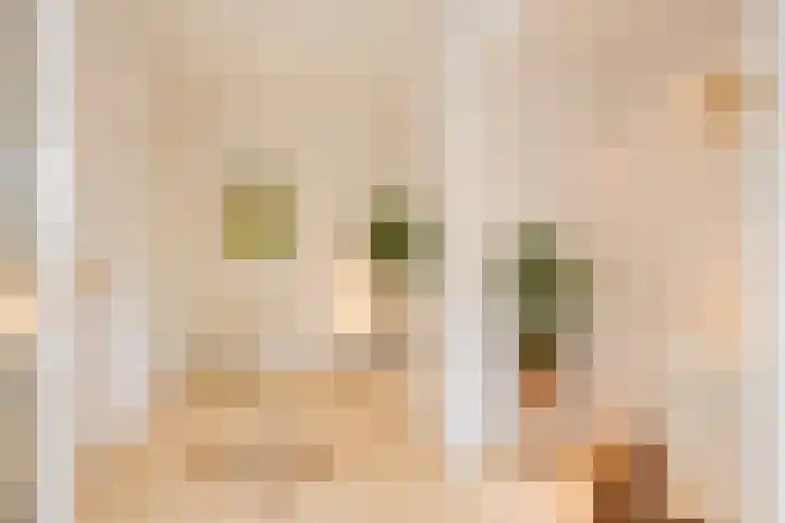 Veenweg 8 Drempt thumbnail 9