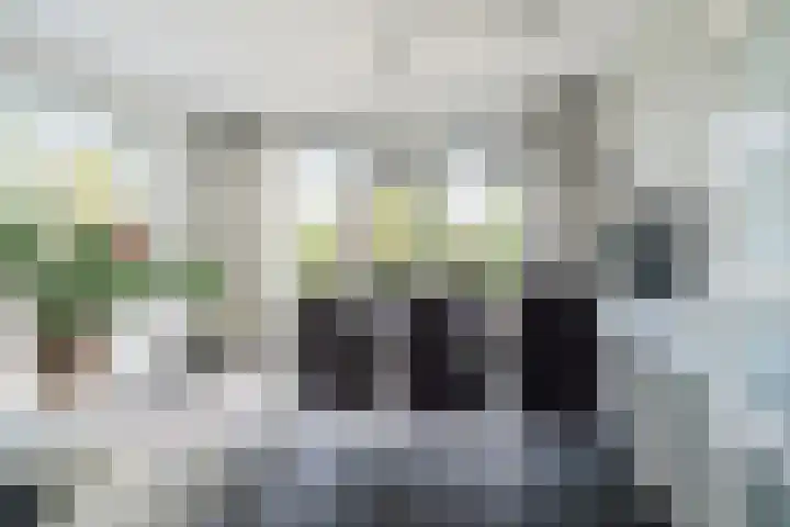 Veenweg 87 Beerta thumbnail 22