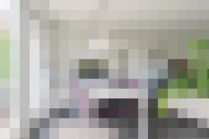 Veenweg 87 Beerta thumbnail 23