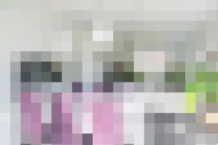 Veenweg 87 Beerta thumbnail 24