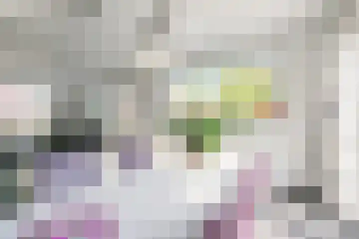 Veenweg 87 Beerta thumbnail 25