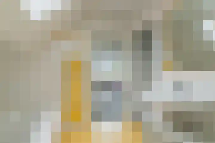 Veenweg 87 Beerta thumbnail 28
