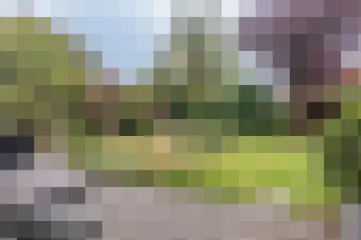 Veenweg 87 Beerta thumbnail 34