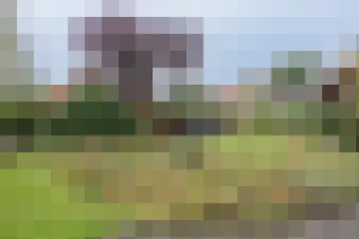 Veenweg 87 Beerta thumbnail 35