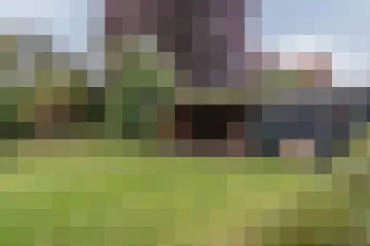 Veenweg 87 Beerta thumbnail 36