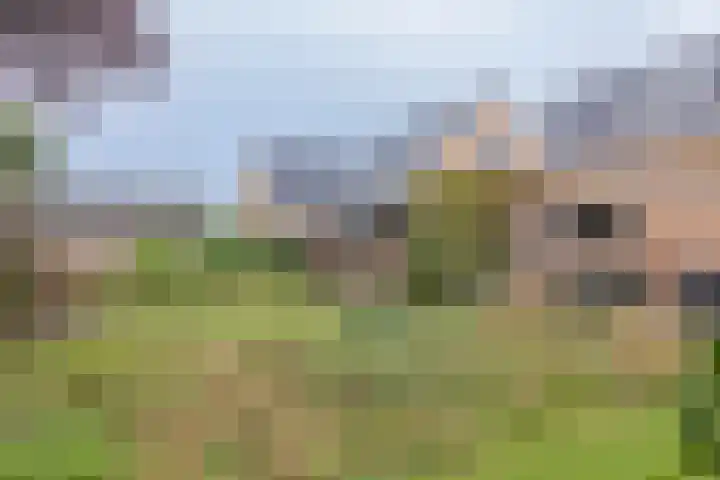 Veenweg 87 Beerta thumbnail 37