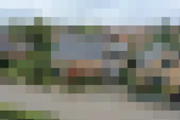 Veenweg 87 Beerta thumbnail 4