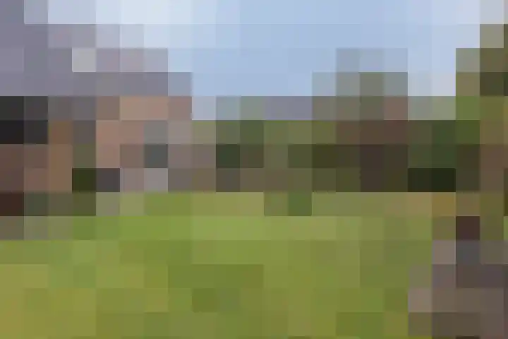Veenweg 87 Beerta thumbnail 40