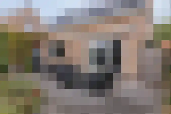 Veenweg 87 Beerta thumbnail 42