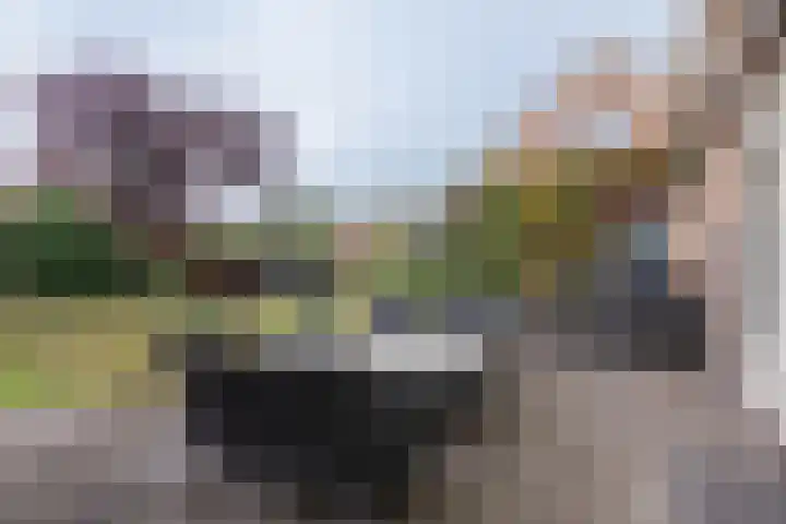Veenweg 87 Beerta thumbnail 43