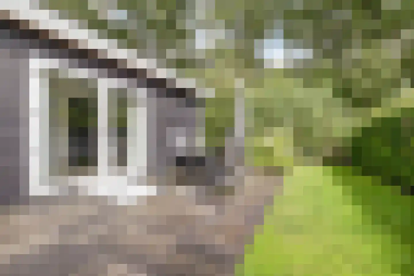 Veenweg 91 R36 Oldebroek thumbnail 18
