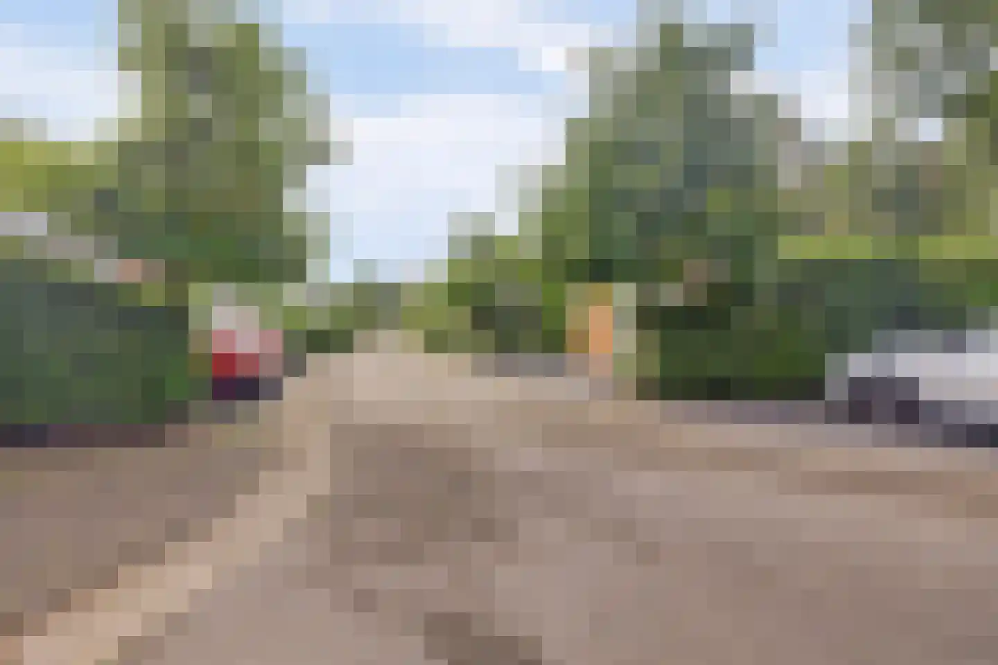 Veenweg 91 R37 Oldebroek thumbnail 6