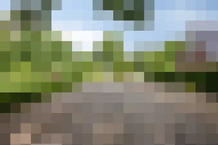 Veenweg 91 R42 Oldebroek thumbnail 28