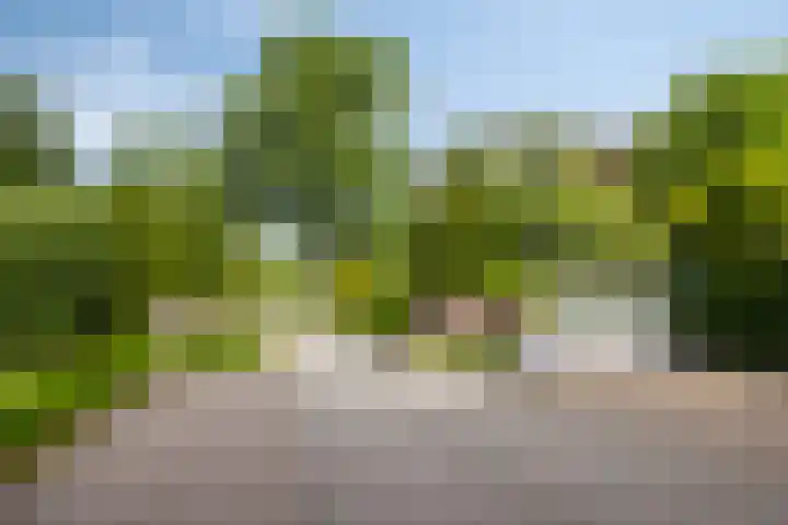 Veenweg 91 R42 Oldebroek thumbnail 29