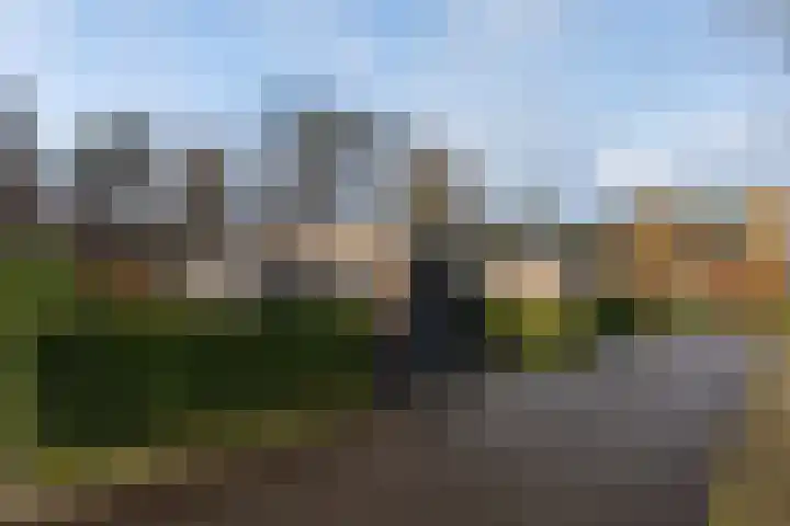 Veenweg 91 R43 Oldebroek thumbnail 23