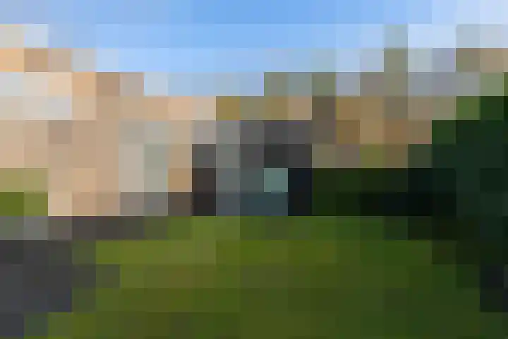 Veenweg 91 R43 Oldebroek thumbnail 6