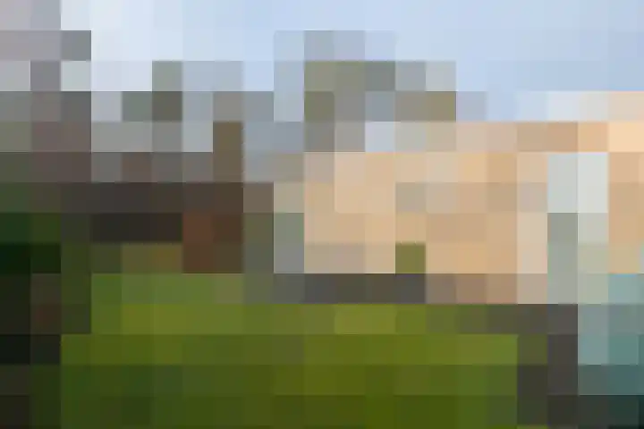 Veenweg 91 R43 Oldebroek thumbnail 7