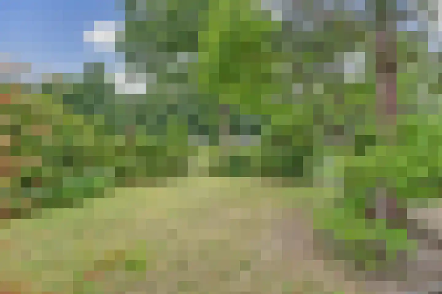 Veenweg 91 R7 Oldebroek thumbnail 13