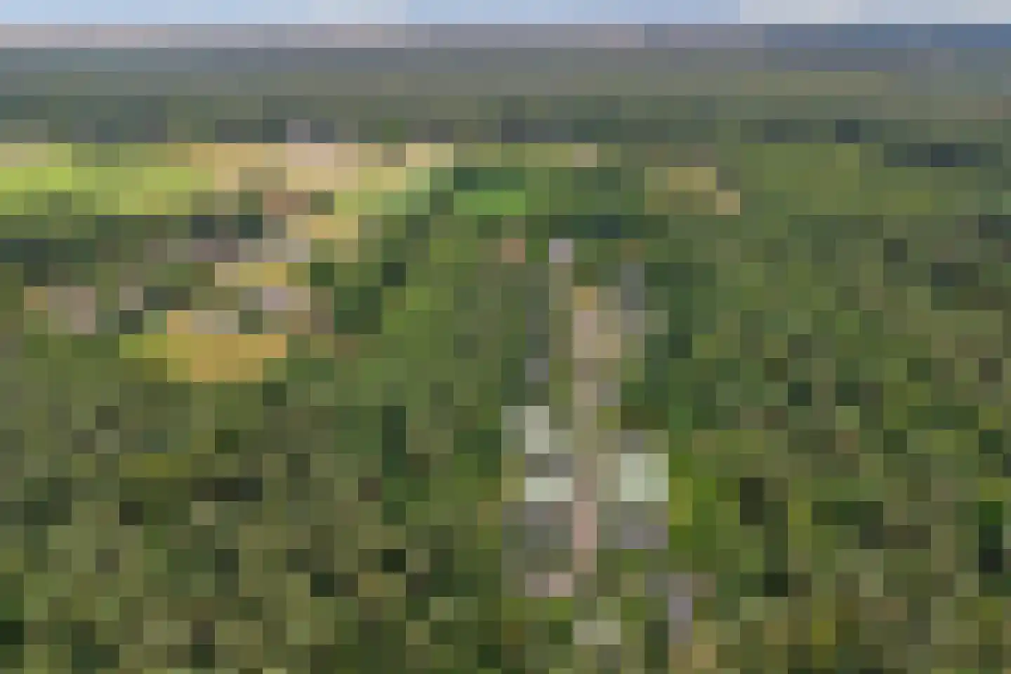 Veenweg 91 R7 Oldebroek thumbnail 16