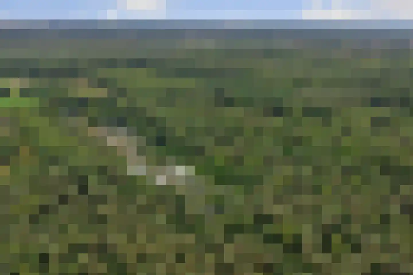 Veenweg 91 R7 Oldebroek thumbnail 17