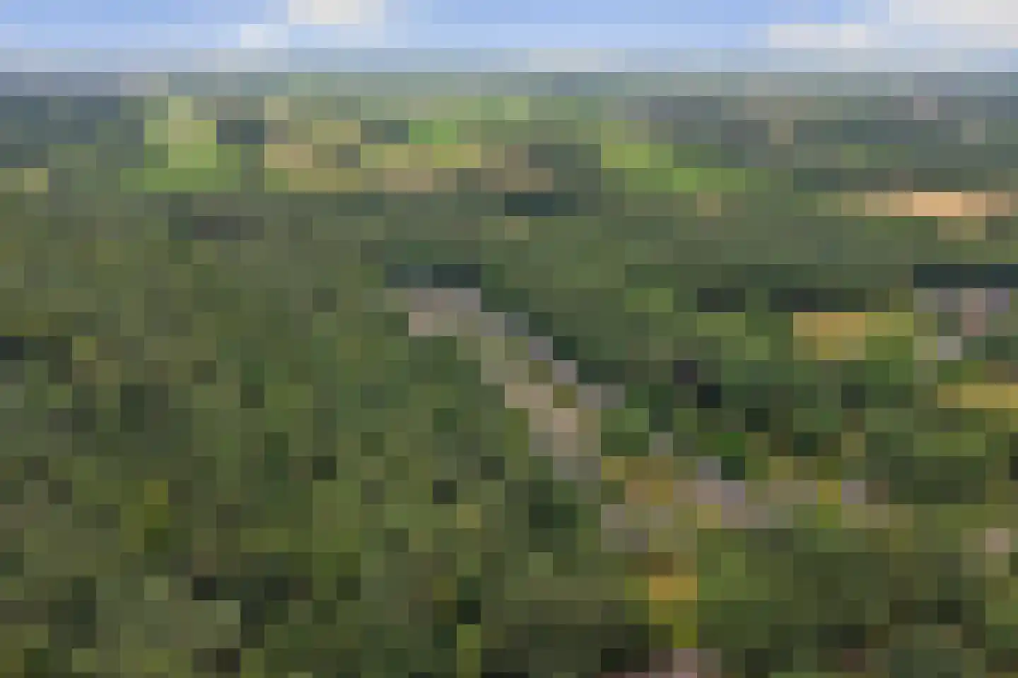 Veenweg 91 R7 Oldebroek thumbnail 18