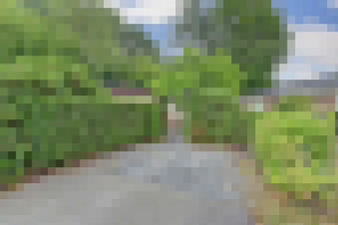 Veenweg 91 R7 Oldebroek thumbnail 4