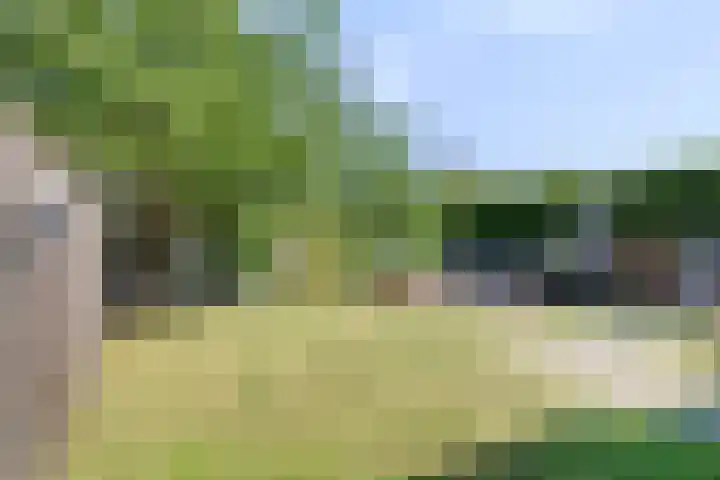 Veenweide 11 Hellevoetsluis thumbnail 17