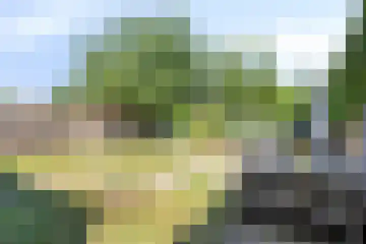 Veenweide 11 Hellevoetsluis thumbnail 18